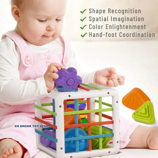 Introduce your little one to a world of shapes and colors with our Colorful Shape Educational Sorting Blocks Game!