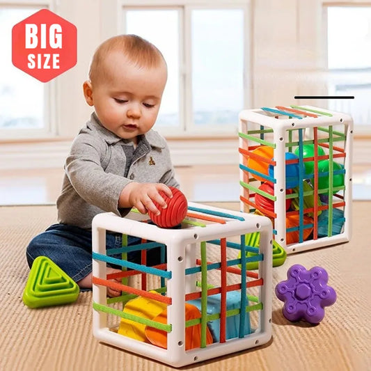 Colorful Shape Educational Sorting Blocks Game